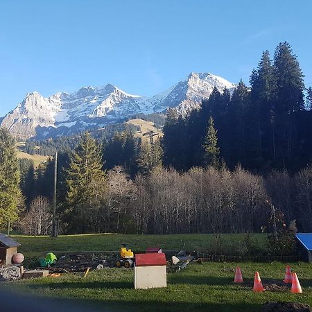 Chalet Wildbach Adelboden Extérieur photo