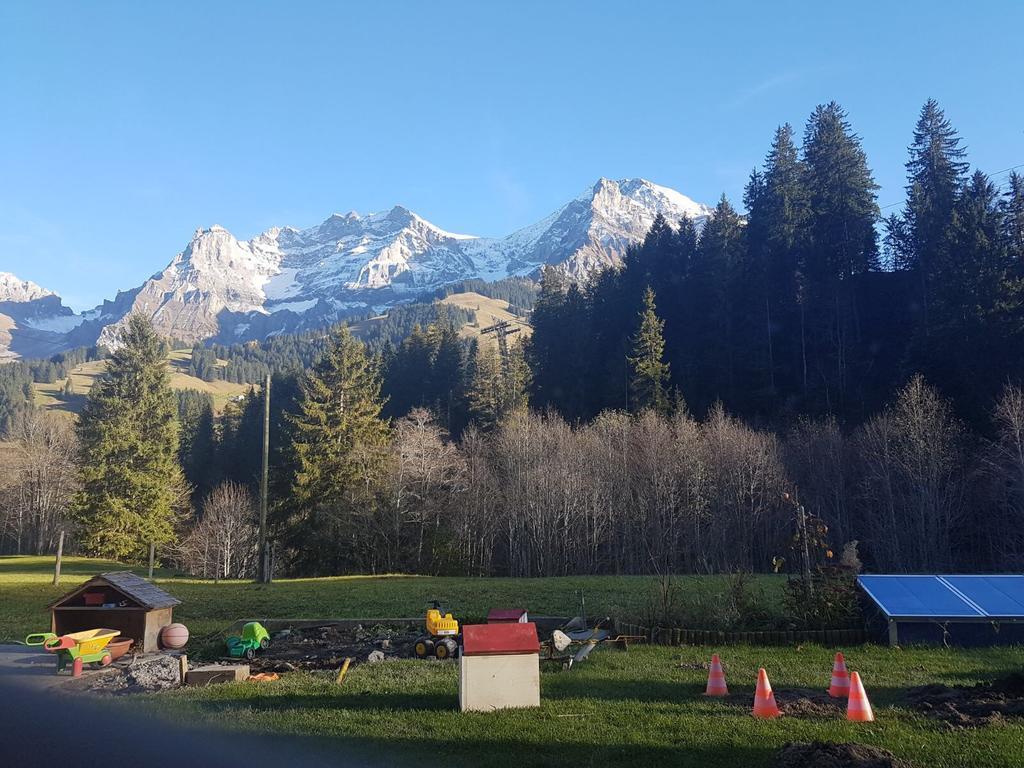 Chalet Wildbach Adelboden Extérieur photo